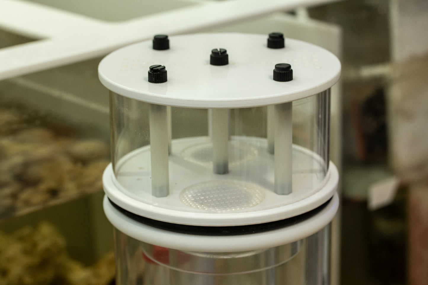 StinkSink for Bubble Magus