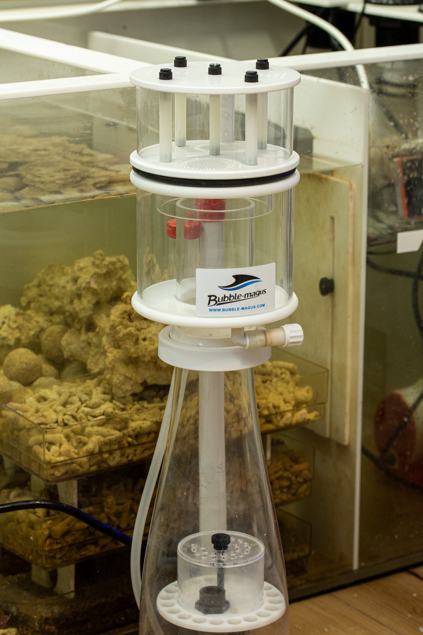 StinkSink for Reef Octopus