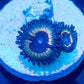 Sonic Flare Zoas